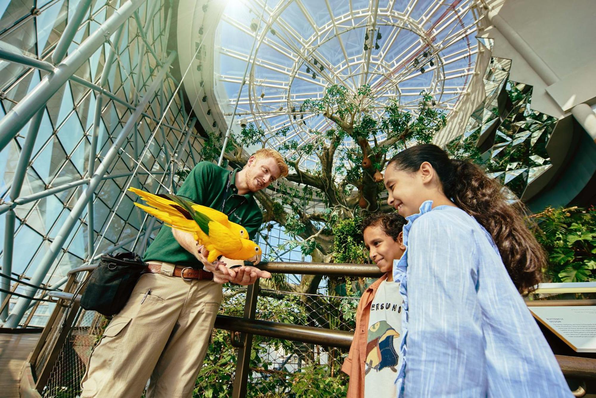 La Ville Hotel & Suites City Walk Dubai, Autograph Collection Bagian luar foto The Aviary